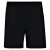 Dare 2b Heren Surrect Lightweight Shorts (Zwart)