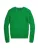 Polo Ralph Lauren Trui  navy / groen