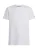 TOMMY HILFIGER Shirt  wit