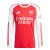ADIDAS PERFORMANCE Tricot ‘FC Arsenal 25/26’  rood / wit