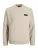 JACK & JONES Sweatshirt ‘JCOFUSION’  beige