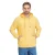 Hoodie Ragwear Zenowery
