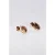 PURELEI Small Shell Ohrringe Rosegold