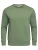 Ombre Sweatshirt  groen