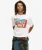 Superdry & Co Travel Postcard T-shirt Wit