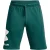 Under Armour Heren rival fleece logo shorts