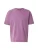 HOLLISTER Shirt  lila