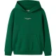 Name It Brody Sweat Hoodie Jongens