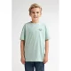 Petrol Industries T-shirt mintgroen