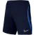 Nike Heren strike 22 dri-fit korte broek