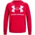 Under Armour Heren rival fleece hoodie