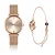 Dameshorloge en armband Amelia Parker Golde Shore
