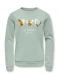 ONLY GIRLS Sweatshirt ‘KOGMARY’  goud / pastelgroen