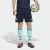 ADIDAS PERFORMANCE Sportbroek ‘Germany 26 Away’  navy / turquoise