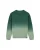WE Fashion Jongens trui met dip dye
