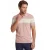 Roze gestreepte polo Scotland Blue Avan knitted v-hals