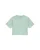 WE Fashion Shirt  lichtgrijs / mintgroen