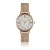 Dameshorloge Amelia Parker Petite Classique Mesh