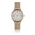 Dameshorloge Amelia Parker Petite Classique Mesh