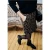 Street One Studio Dames Leeuw rok in wol look in Zwart