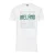 Castore Unisex volwassen FAI Shamrock Performance Modern T-shirt (Wit)