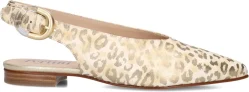 Pertini Slingbacks
Dames 34490,