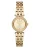 Michael Kors dames Darci minihorloge MK3295