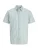 JACK & JONES Overhemd ‘JJCHAD’  mintgroen / zwart / wit