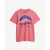 T-shirt Superdry classique Great Outdoors