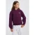 America Today hoodie met backprint – aubergine