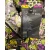 Prada Holliday & Brown bloemenjurk van veelkleurig polyester