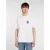 T-shirt Dickies Circle