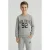Cars sweater met print – grijs