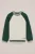 WE Fashion – Jongens sweater met colourblock en print – Regular fit – Donkergroen – Katoen –