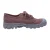 Palladium Pampa Oxford 92351 Veterschoenen