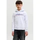 JACK & JONES JUNIOR junior hoodie met print – grijs