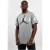 Nike Air Jordan Stretch T Shirt in Grijs