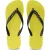 Uzurii Gold small –