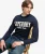 Applique Graphic Trui Blauw