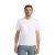 T-shirt Rossignol Prarion