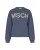 Msch Copenhagen Mschmela Briena Msch Sweatshirt 19738 Trui V Indigo Oatmea