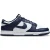 Nike Dunk Sneakers Heren – Wit –