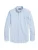 Polo Ralph Lauren Overhemd  marine / lichtblauw / cappuccino / wit