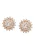 faina Oorbellen  rose-goud / transparant