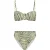 Shiwi Ladies Zoe Bikini Set Zanzibar Zebra Palmtree Green