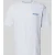 Dickies Regular fit T-shirt met motiefprint model ‘DRY RIDGE’