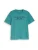 TOM TAILOR Shirt  riet / zwart