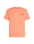 O’NEILL Shirt  abrikoos / zwart