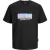 Jack & Jones Jocsagoo photo slub tee