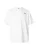 THE NORTH FACE Shirt ‘Essential’  wit